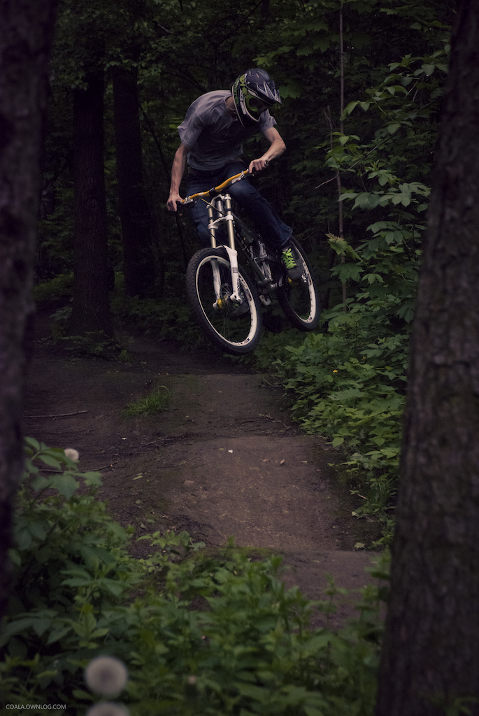 Foto - Karolina Kowal
http://coala.ownlog.com/

Onion Bikes