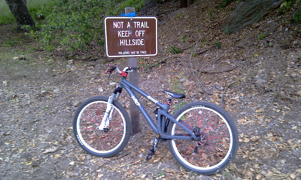 1st day on new frame