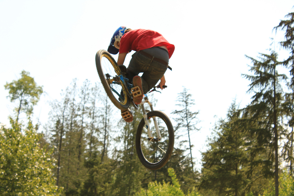 Whip