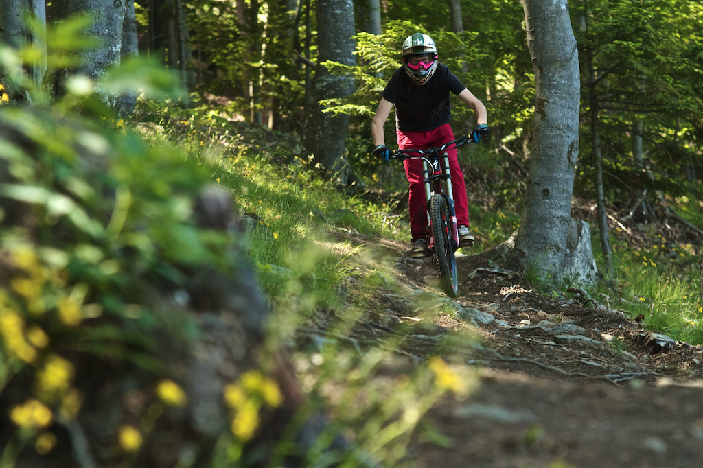 http://www.bikeparkpohorje.si/