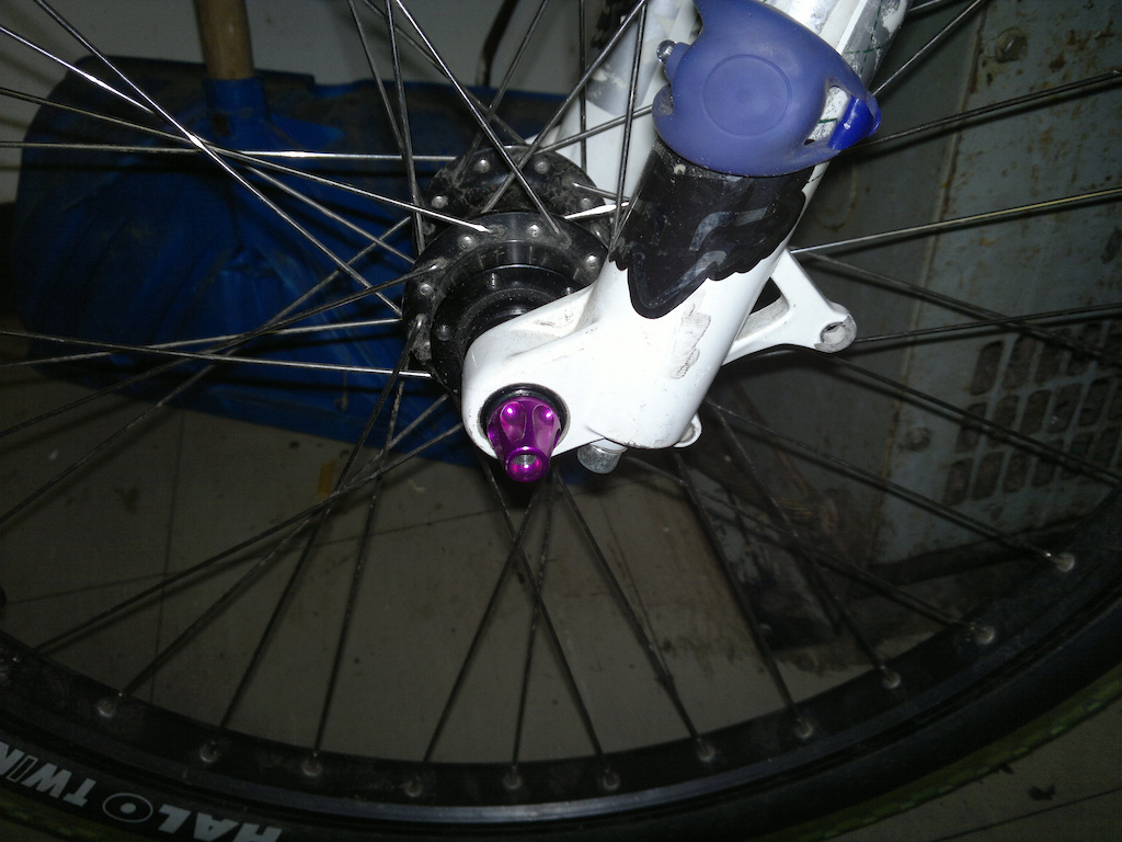 my purple skewer and frogger light too