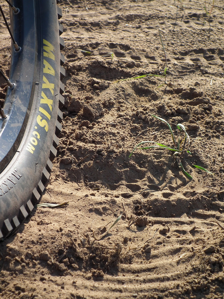 Tyre on the dirt