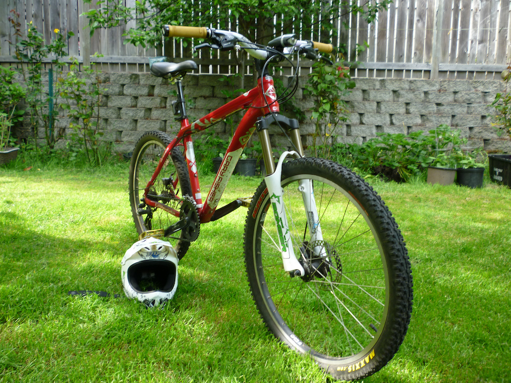 all mountain/ xc bike