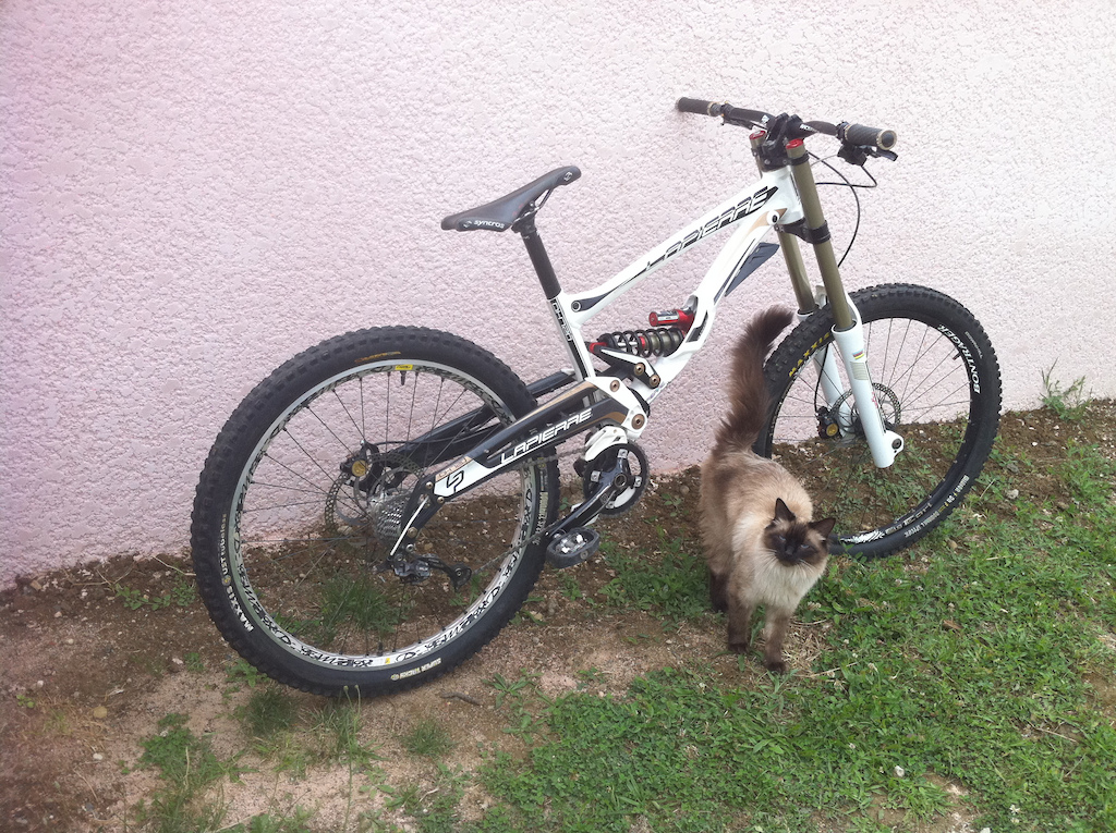 Lapierre PendBox 2011 Full Bos