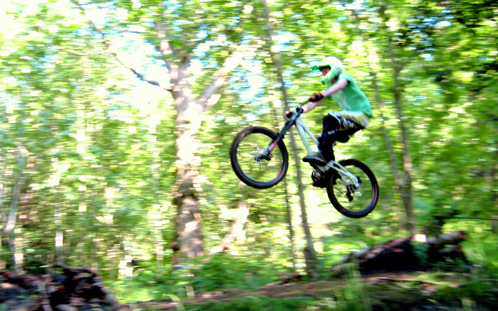 riding at birstwith woods