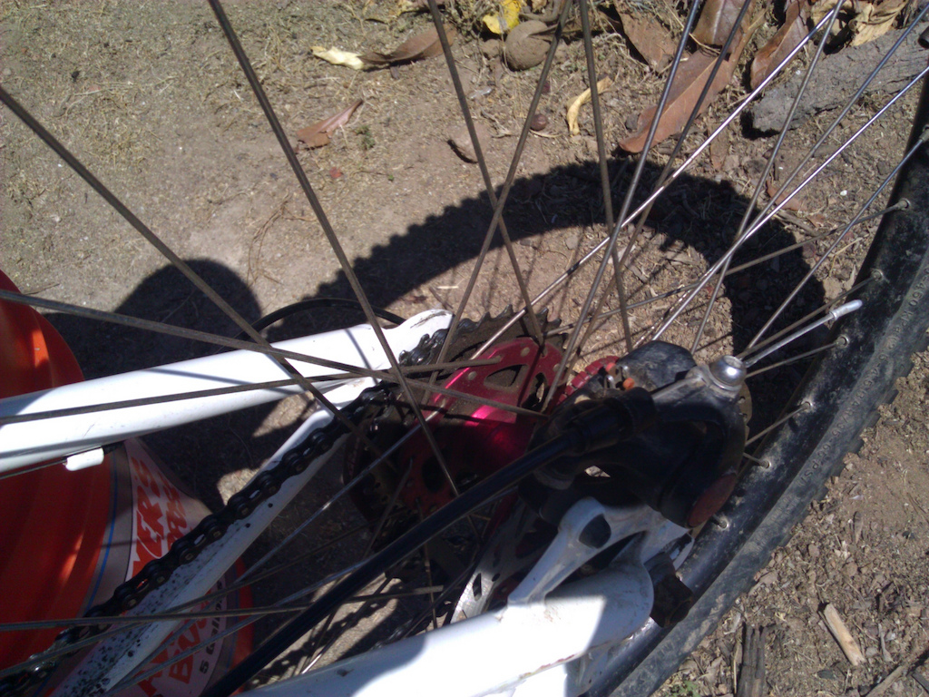 rear stays