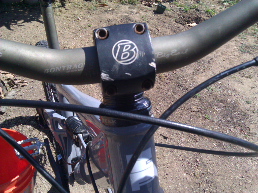 bonty stem