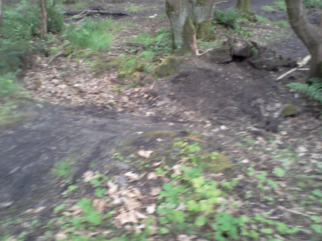 the huck jump 10ft gap crapy blurry picture :/