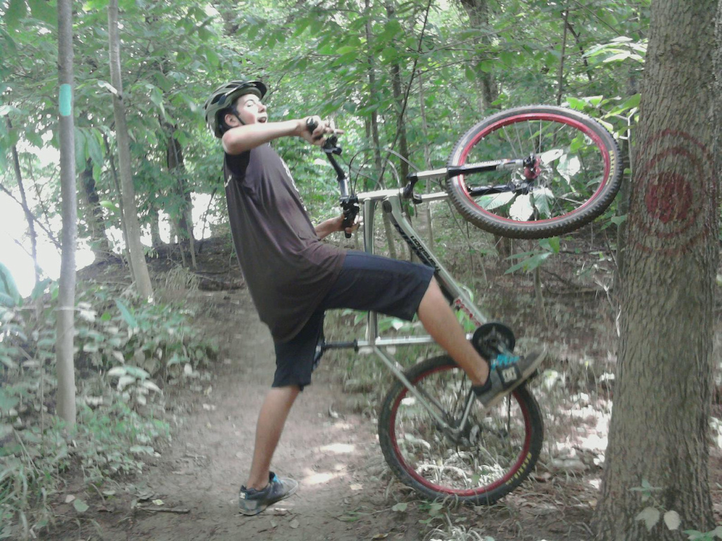 trying to ride a tree, Crashed after that picture was token