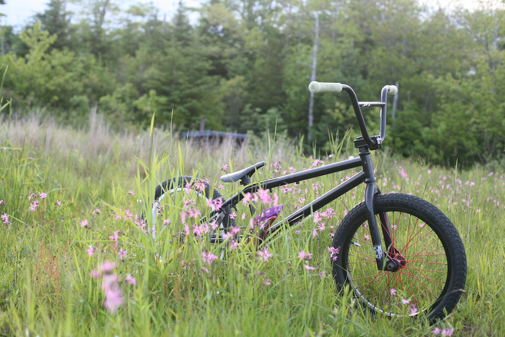 my epic bike likes to play with flowers