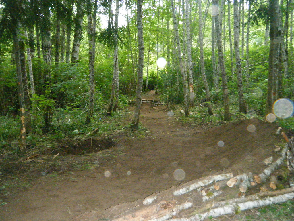 backwards trail