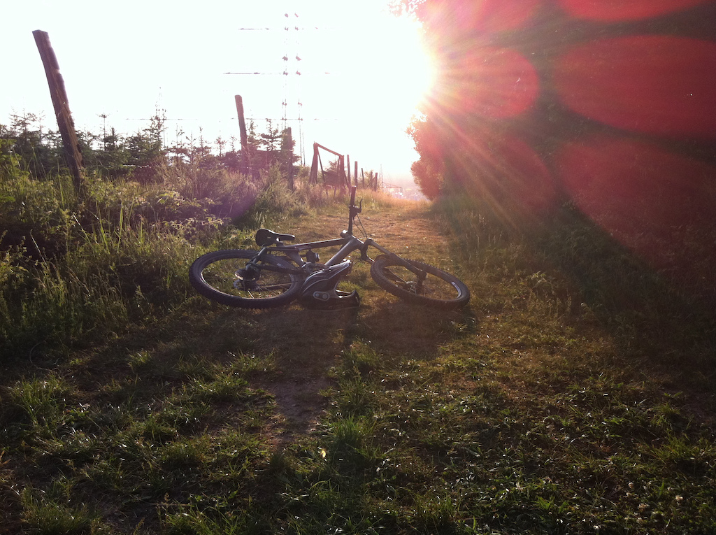 My first ride, an old Canyon Big Mountain. 
Was the gateway drug, fo sho!