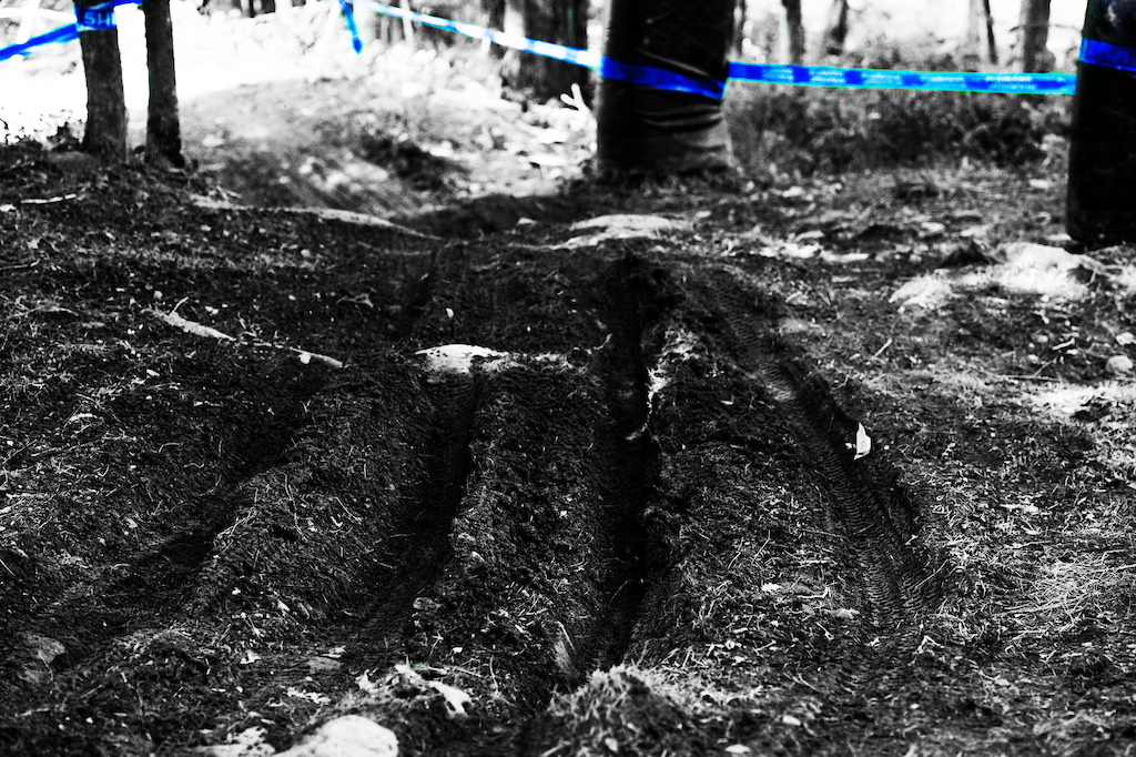 Windham World Cup track