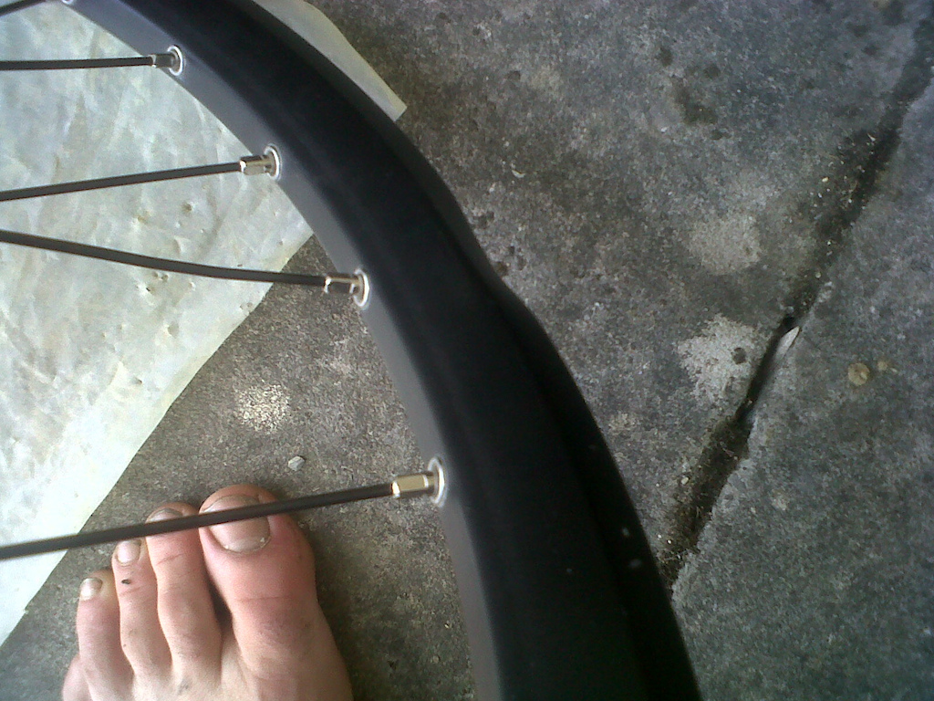 Speccy Wheelset