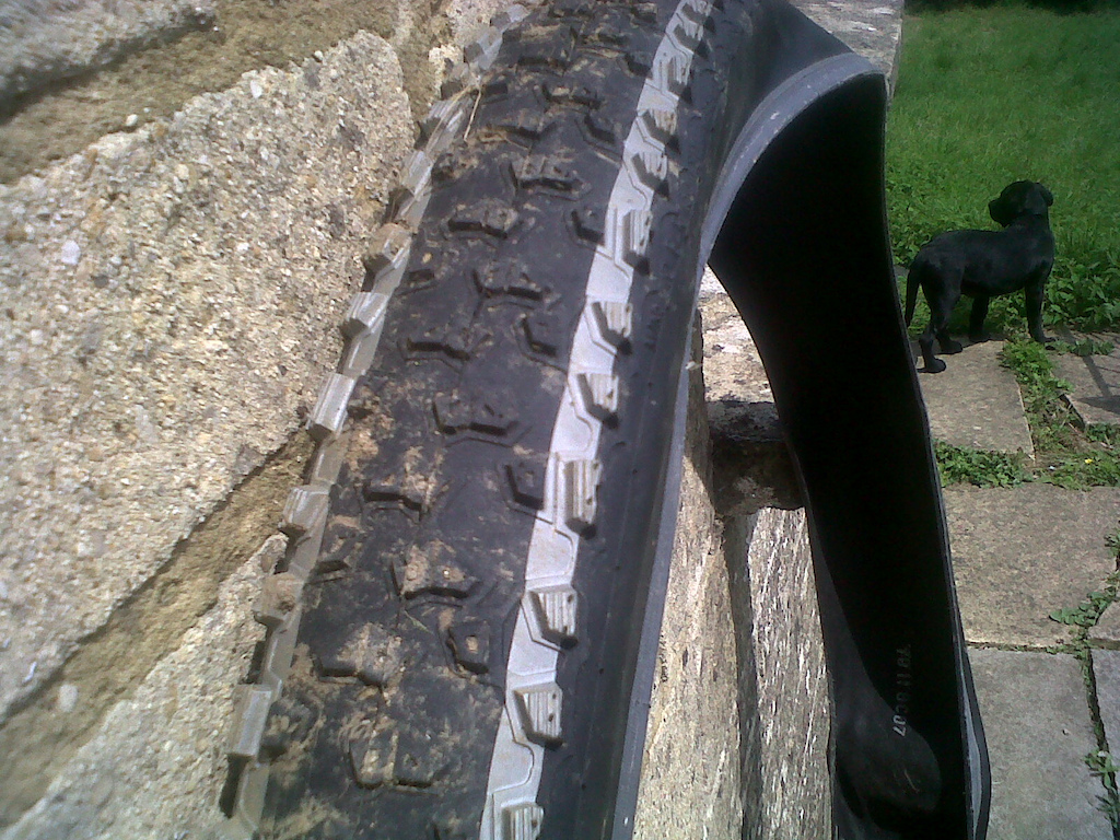 Schwalbe Racing Ralph