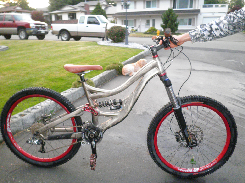 My New SX