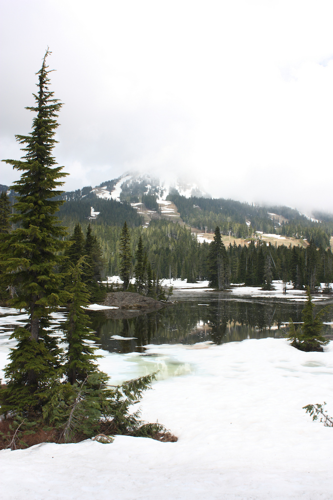 mountain from strathcona
