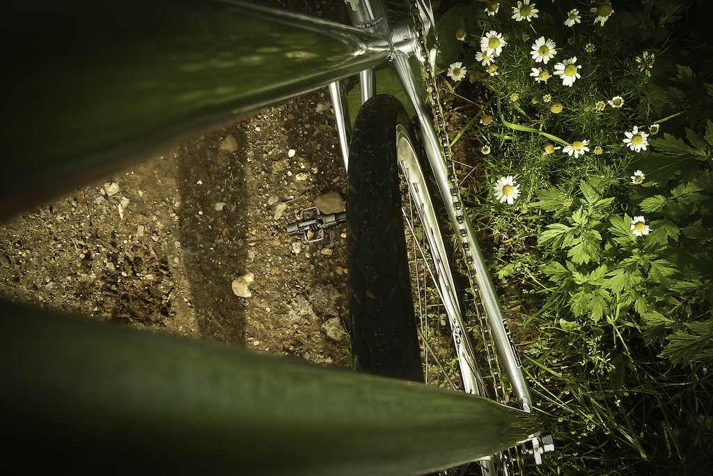 Fixie ride