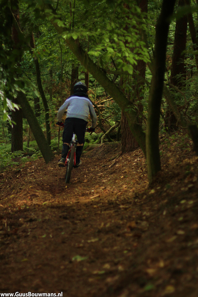 Having fun in the forest, picture by Guus Bouwmans