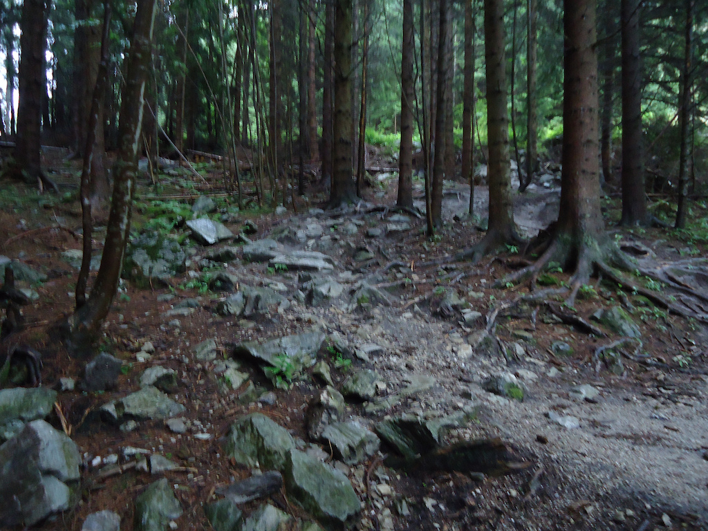 Shot's of the 2011 DH track at Bikerpark Semmering