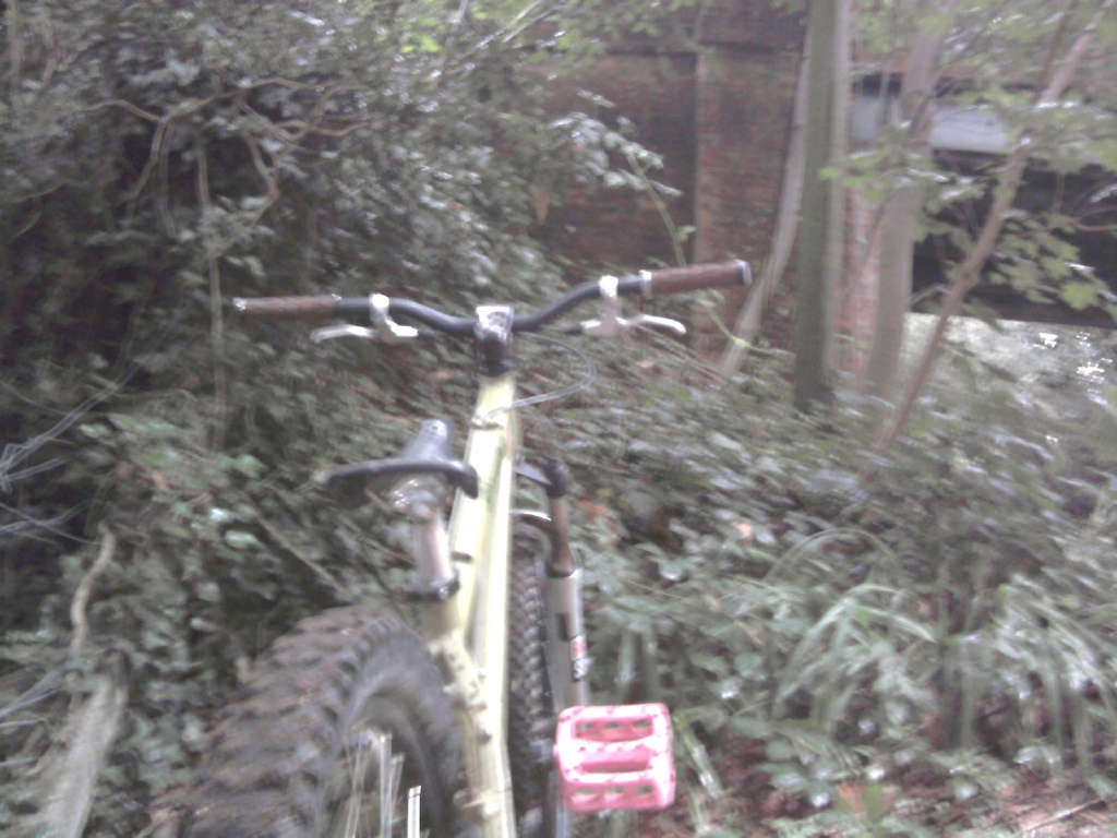 my bike and some of the small trails