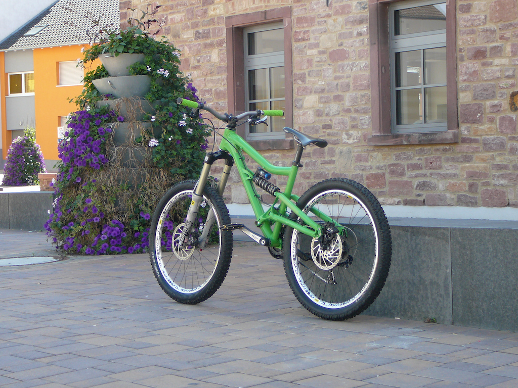bullit santa cruz