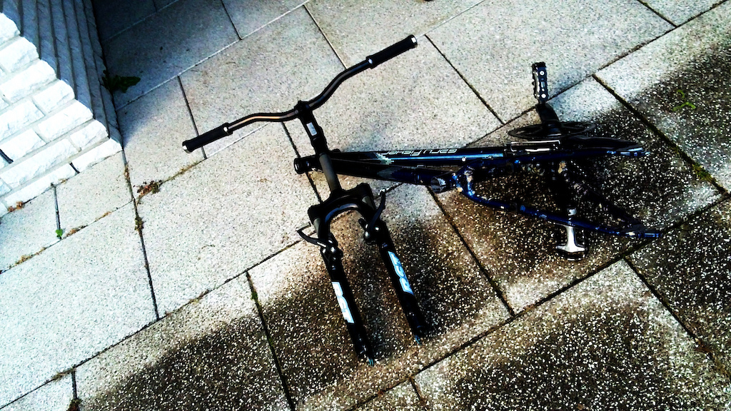 After going out for a quick ride with a fucked rear wheel, which caused my derailleur hanger to snap, I decided to take my bike apart.