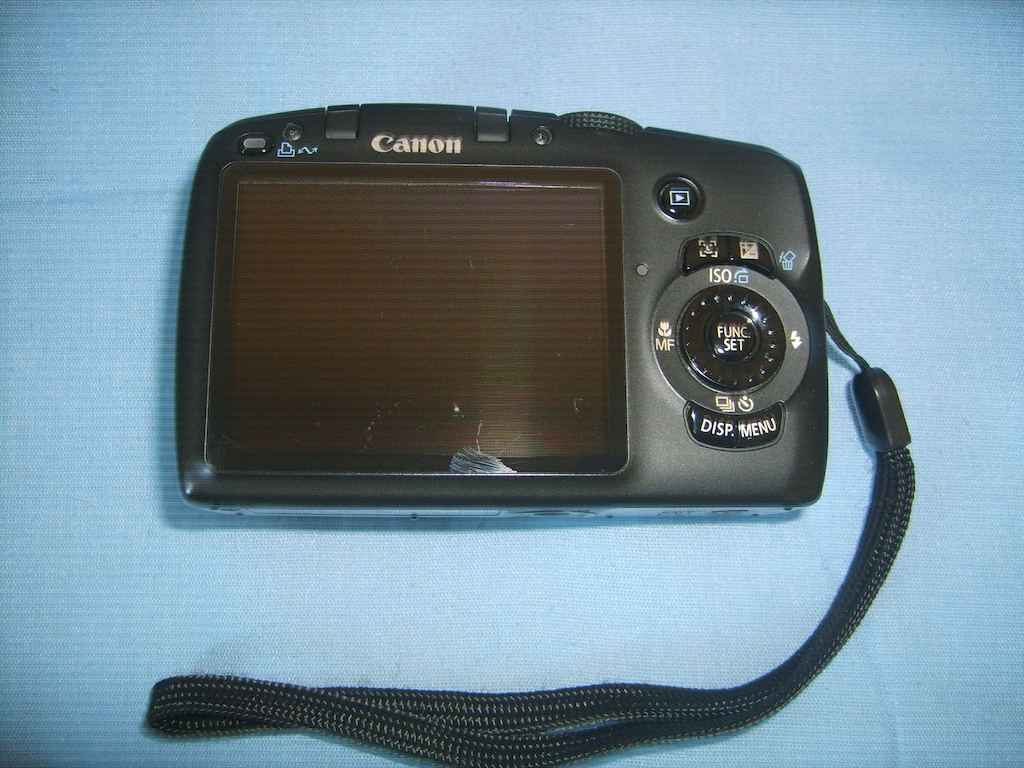 Canon SX 110 is