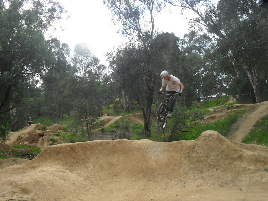 The Vert