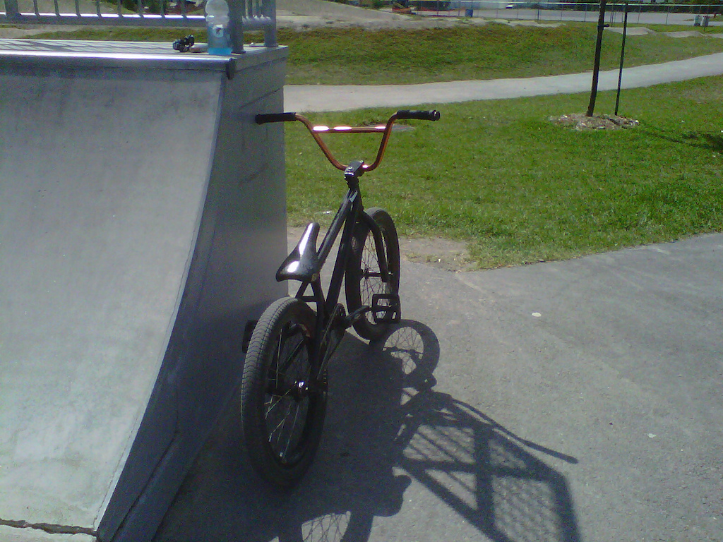 mirra Co black pearl
