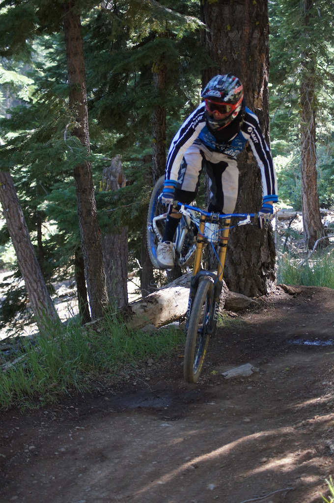 steeze on livewire