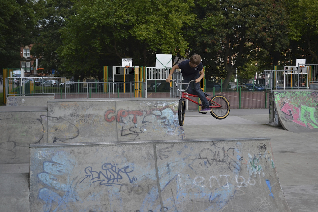 Spine Whip