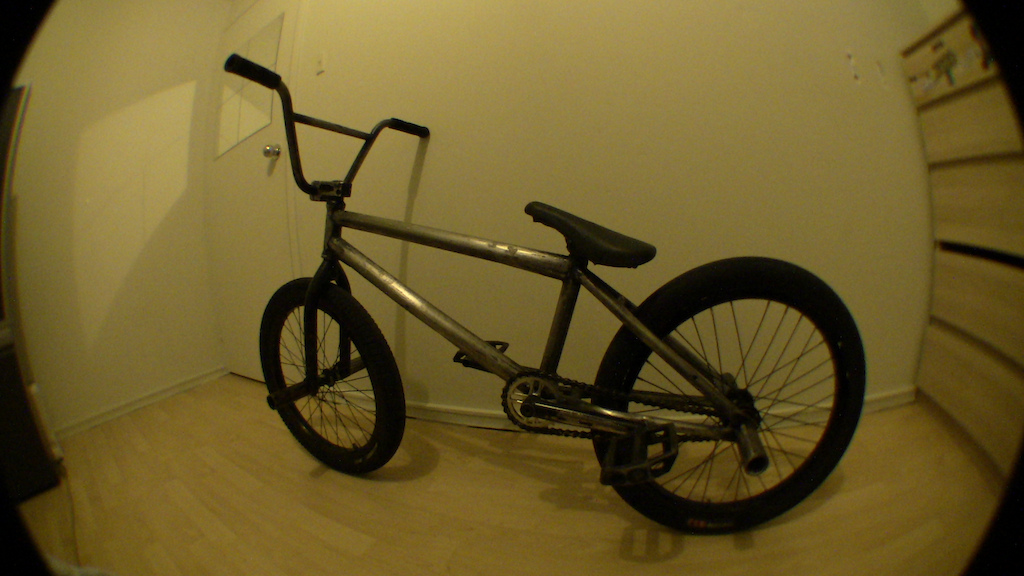 NewISH whip.