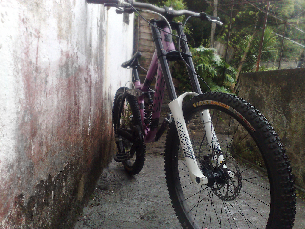 My new project