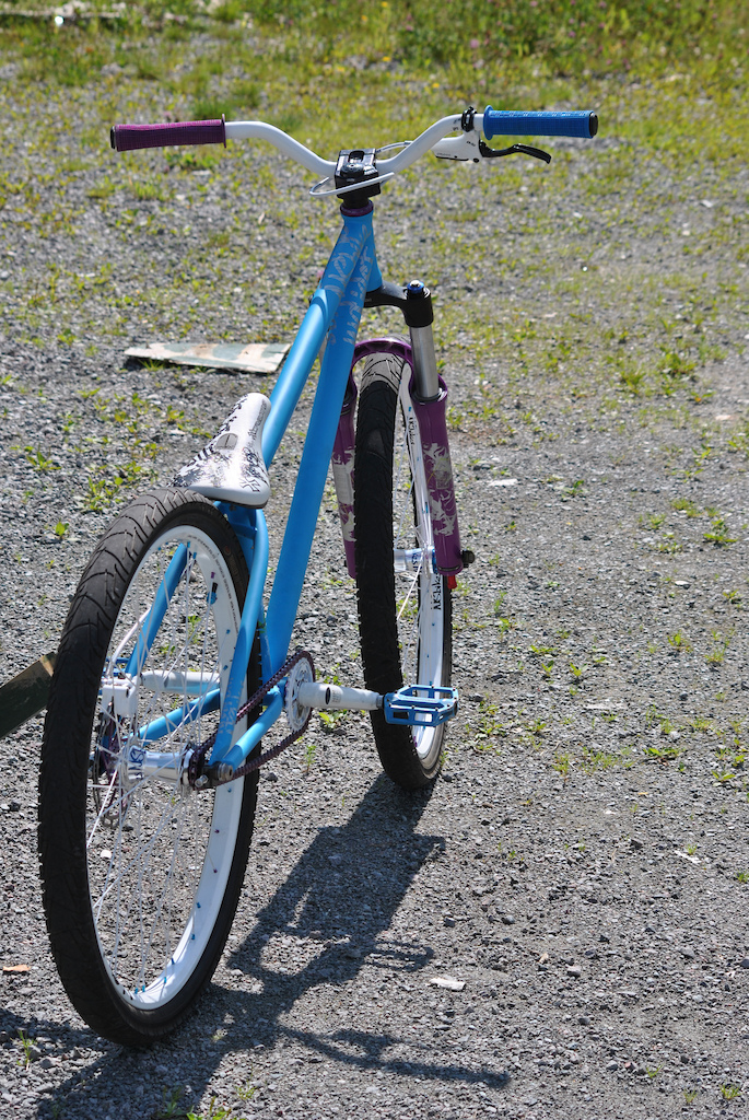 NS bikes Majesty Dirt 2011