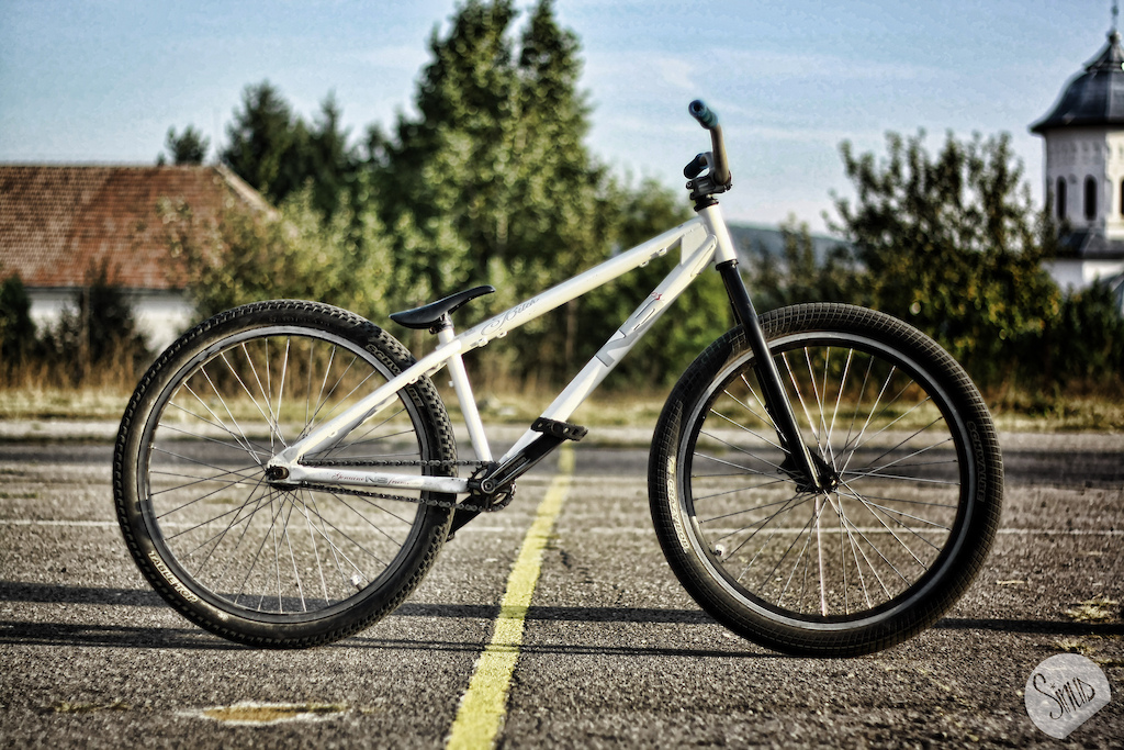 my bitch, new rear hub.. photo by Sinus
