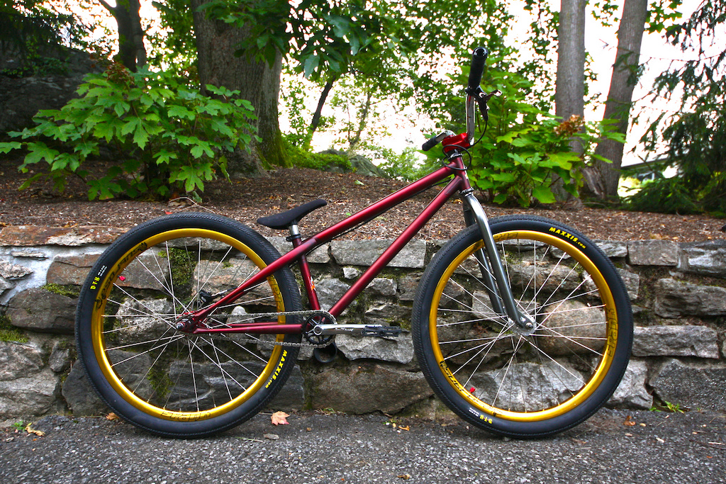 Final 2012 Setup

Frame: 2011 Dobermann Pinscher 26 in matte blood red (21.5 tt) 

Fork: 2010 Dartmoor Bronx  in silver (430mm a/c)

Seat:  Eclat Padded Complex in black

Rim: 26in Spank Subrosa in gold 
Hub: Profile MTB in polished (10mm)  
Spokes: Straight gauge in silver
Nipples: Aluminum in polished
Tire: 26in 2.15 Maxxis DTH (Kevlar)

Rim: 26in Spank Subrosa in gold 
Hub: Profile MTB Single speed in red (10mm)  
Spokes: Straight gauge in silver
Nipples: Aluminum in polished
Tire: 26in 2.15 Maxxis DTH (kevlar)

Crank Arms: Profile BMX 175mm in chrome
Spindle: Profile BMX titanium 48 spline
Sprocket: Profile spline drive 25t in black 
Bb: Deity Outboard Bearing euro in black (19m)
Chain: KMC 710 SL in chrome
Pedals: Premium Slim PC in black 

Bars: Blk Mrkt Molly Hatchet 3.0in rise in chrome 
Brake: Avid Elixir cr sl in black with a 160mm Avid Cleansweep G3 
Stem: Blk Mrkt Underboss 25.4 with red body and silver faceplate
Grips: Animal Edwin Flangeless in black 
Headset: Cane Creek 110 HS in black