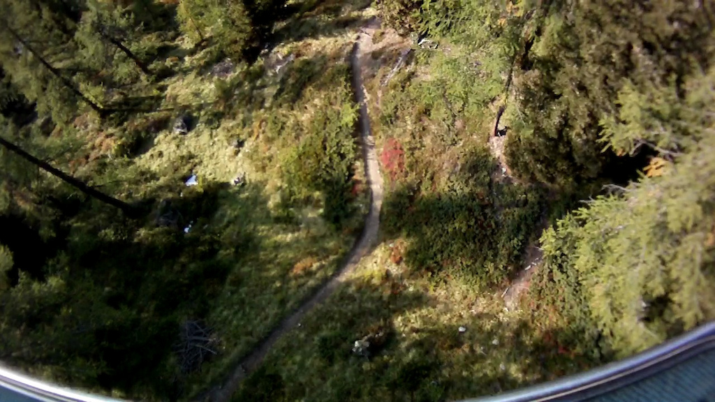 View of a small piece of trail near the middle from the gondola