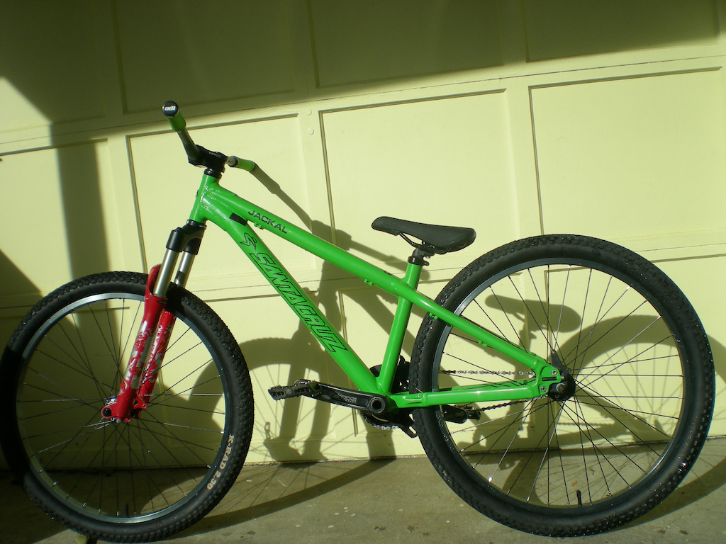santa cruz jakal