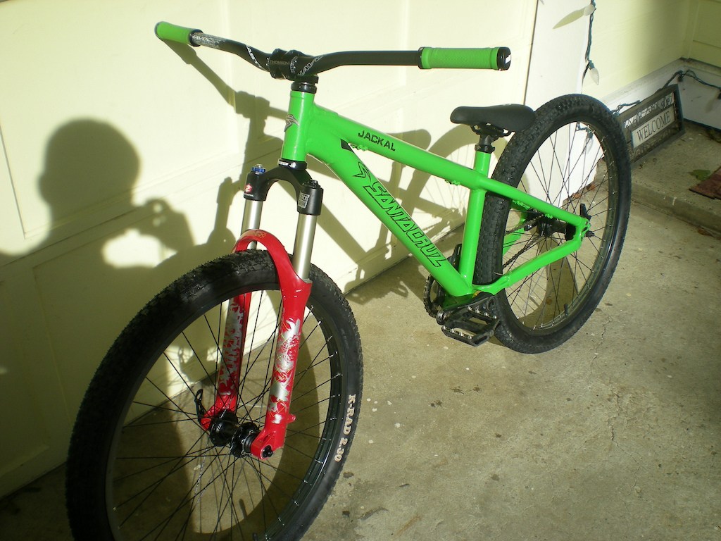 santa cruz jakal