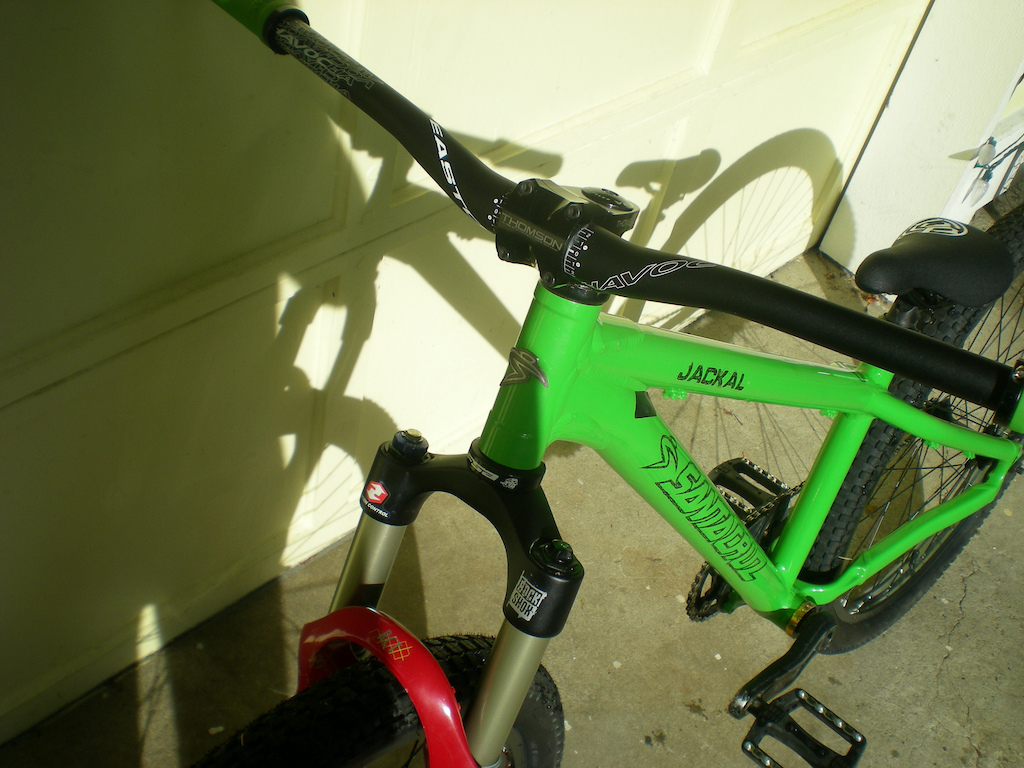 santa cruz jakal