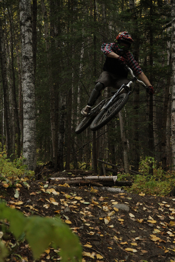 whip