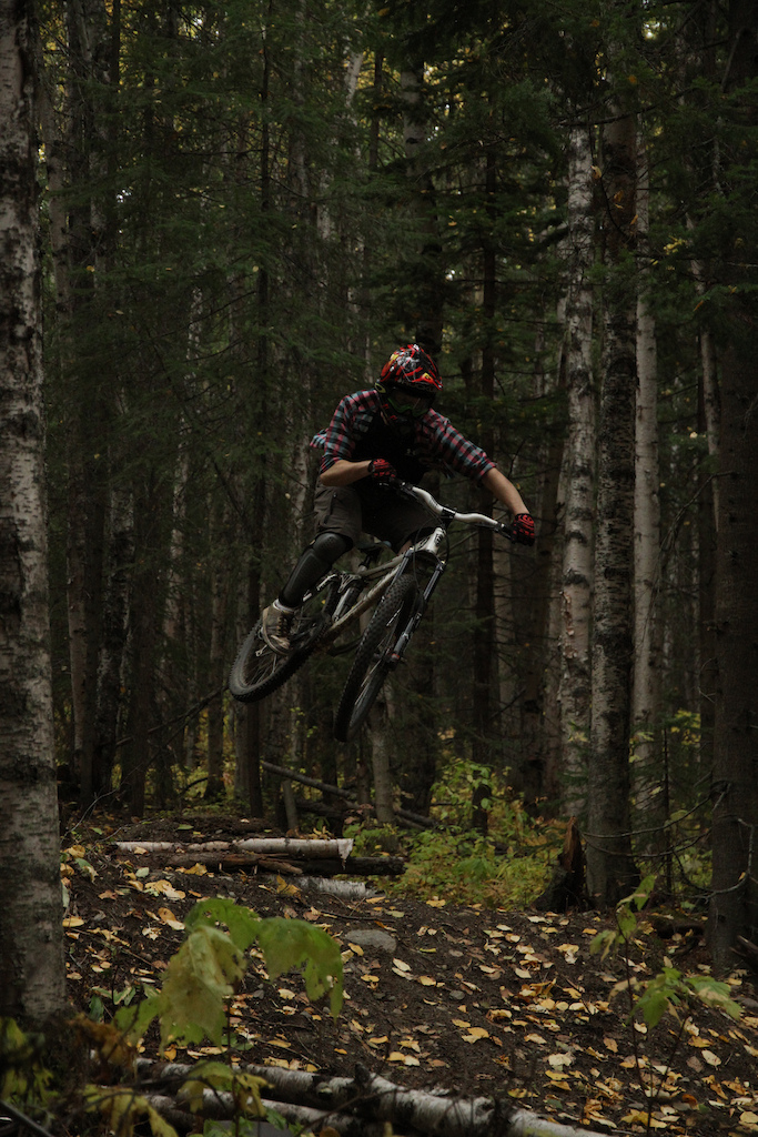 whip