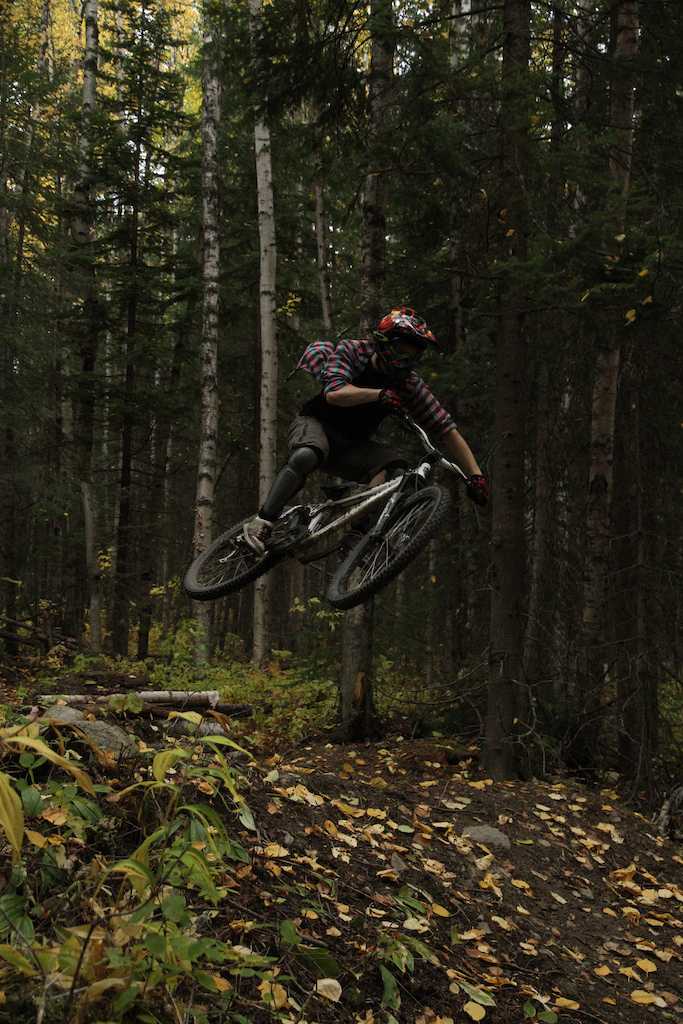 whip