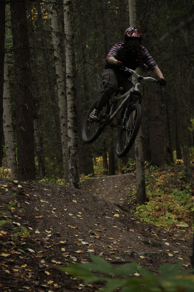 whip