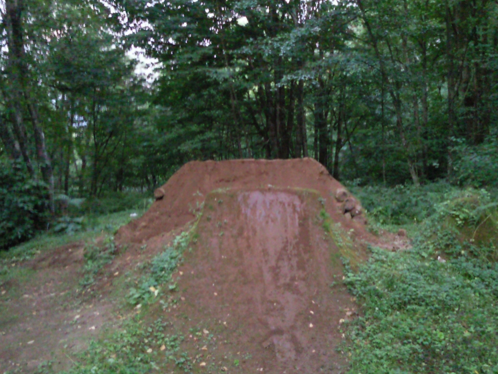 Me and chubes went to work on the landing.