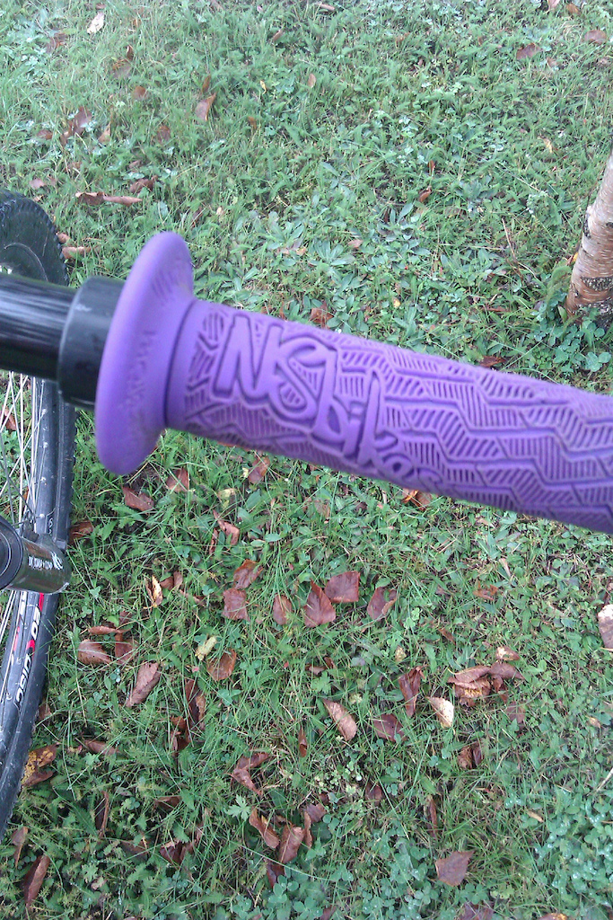 NS purple grips