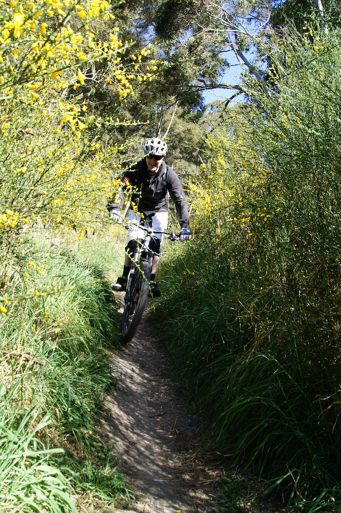Cape Wanbrow Oamaru