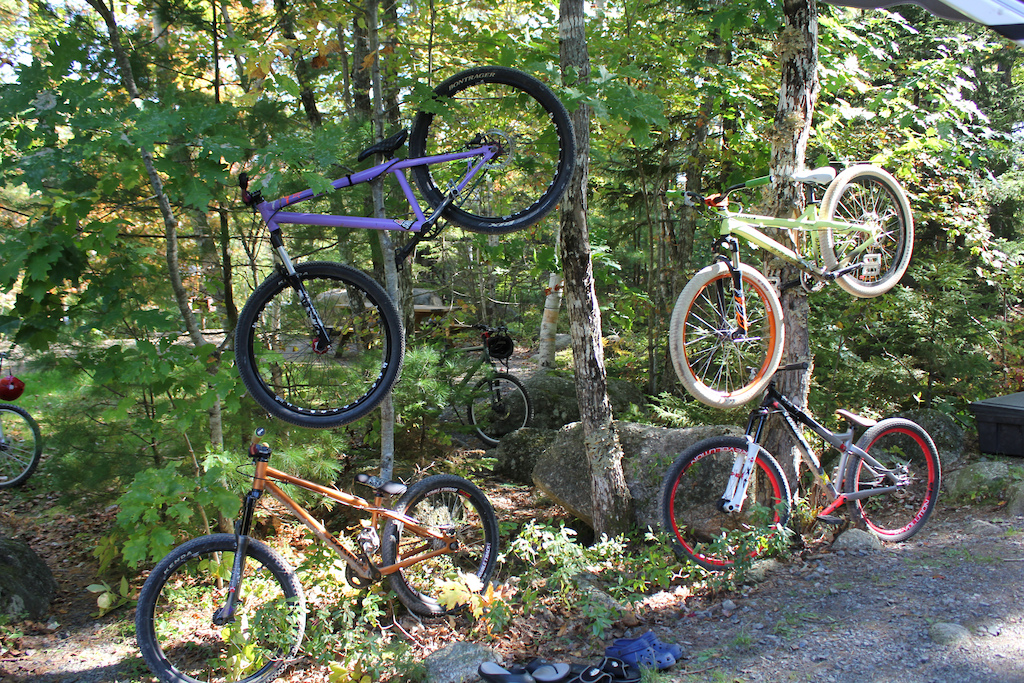 Bikes do grow on trees, Blk Mrkt Mob, Simtra Psycho, Specialized P3, Specialized P2