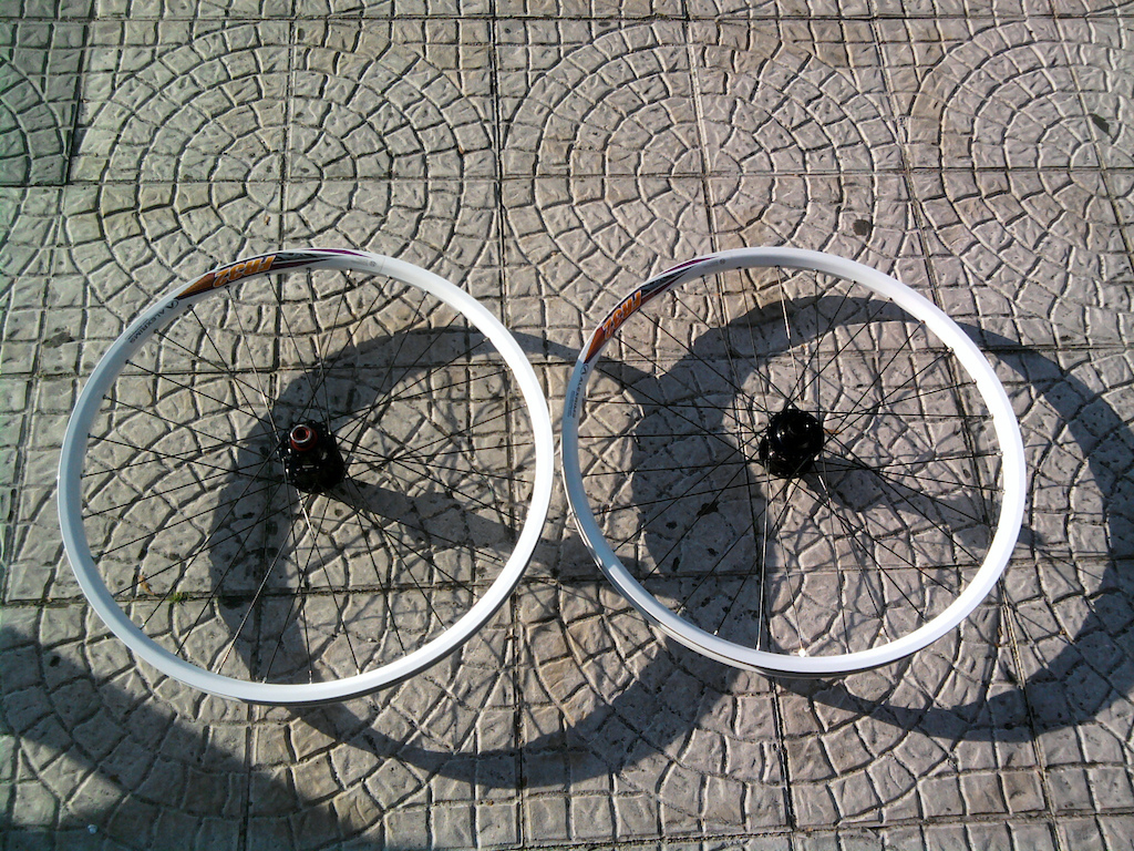 - Aros Alexrims FR32 brancos;
- Raios DTswiss;
- Cubos Scott rolamentos selados.
200,00€